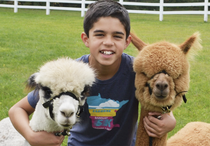 kid with alpacas at eagle eye farm.