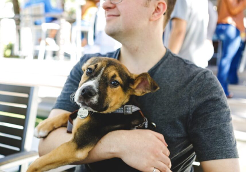 pup1 pup1
